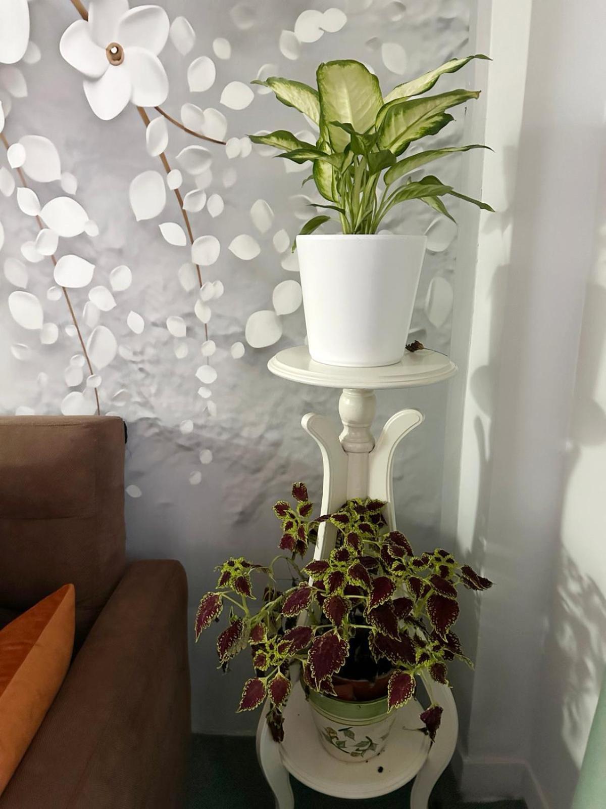 Pnoe D'Athenes Apartment ภายนอก รูปภาพ